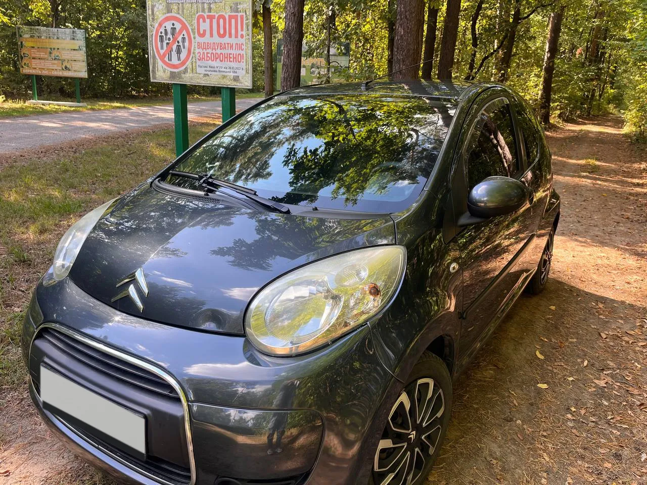 Citroen C1 2009 — сірий хетчбек, вигляд спереду збоку