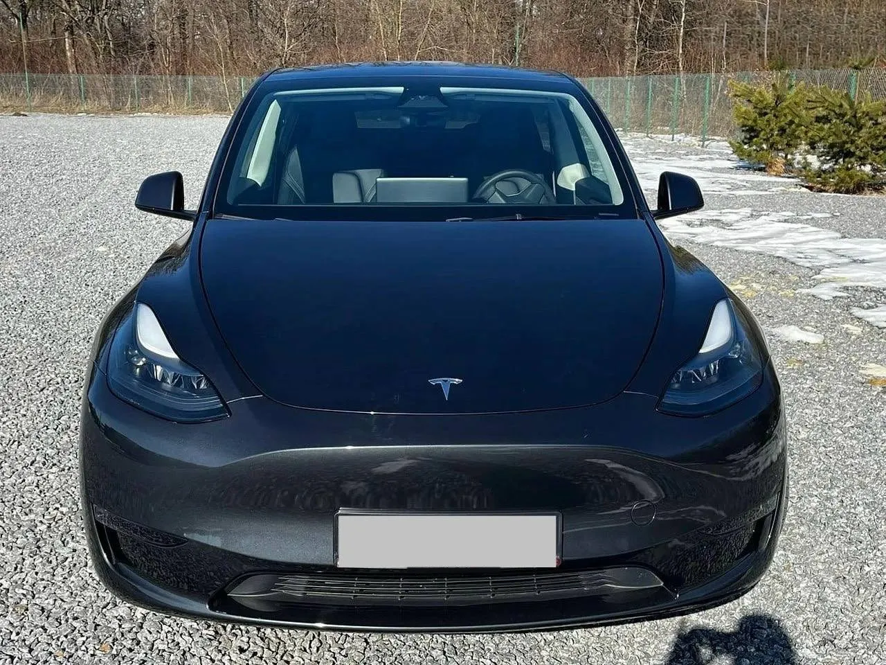 Tesla Model Y RWD 2024 сірий — фото 2